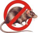 Средства  от крыс и мышей