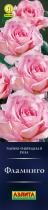 Роза Фламинго/Чайно-гибридные