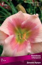 Лилейник гибридный Джанис Браун (лососево-розовый с лавандовым глазком и зелёным горлом,1шт,I)