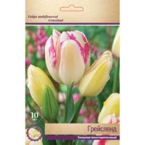 Тюльпан Многоцветковый Грейсленд 11-12/К 10шт