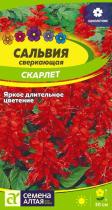 Цветы Сальвия Скарлет/Сем Алт/цп 0,1 гр.