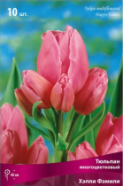 Тюльпан Многоцветковый Хэппи Фэмили 11-12/К 10шт