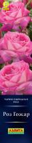 Роза Роз Гожар/Чайно-гибридные