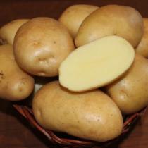 Картофель семенной Крона 2 кг