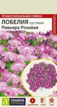 Цветы Лобелия Ривьера розовая кустовая/Сем Алт/цп 8 шт.