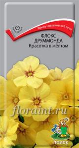 Флокс друммонда Красотка в жёлтом (ЦВ) ("1) 0,1гр.