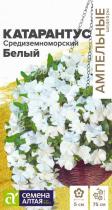 Цветы Катарантус Средиземноморский Белый/Сем Алт/цп 7 шт. Ампельные Шедевры (2027 / 32037)